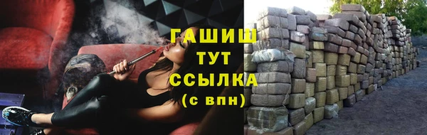 шишки Арсеньев
