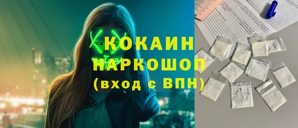 сатива Аркадак