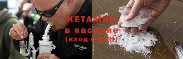 сатива Аркадак