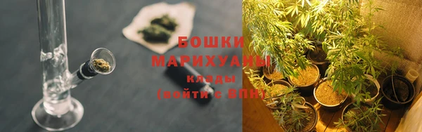 шишки Арсеньев