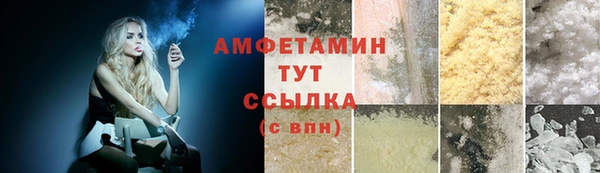 шишки Арсеньев