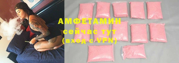 шишки Арсеньев
