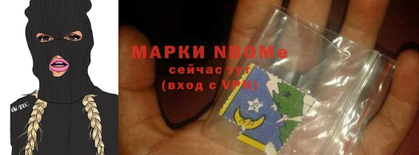 шишки Арсеньев