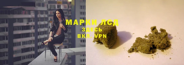 шишки Арсеньев