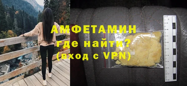 шишки Арсеньев