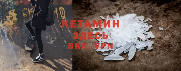 шишки Арсеньев