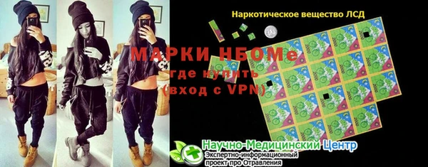 шишки Арсеньев