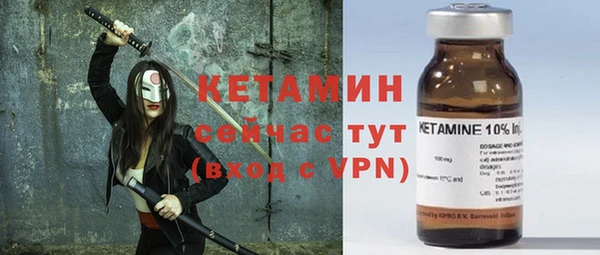 сатива Аркадак