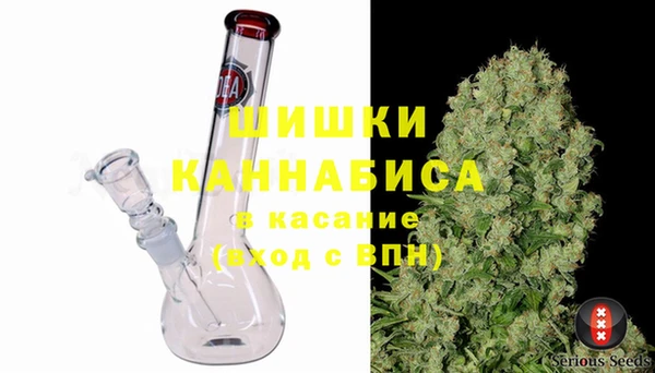 сатива Аркадак