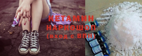 сатива Аркадак