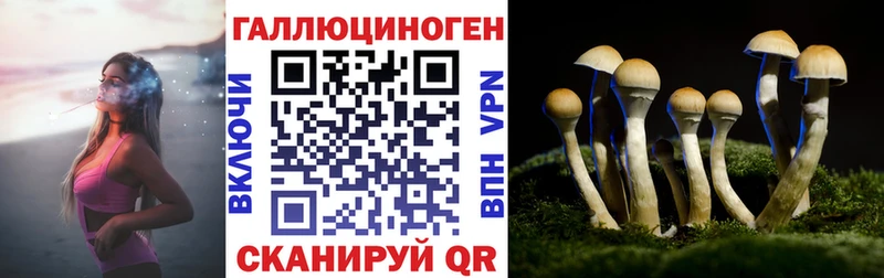 Псилоцибиновые грибы GOLDEN TEACHER ссылка на мегу ссылка Снежногорск